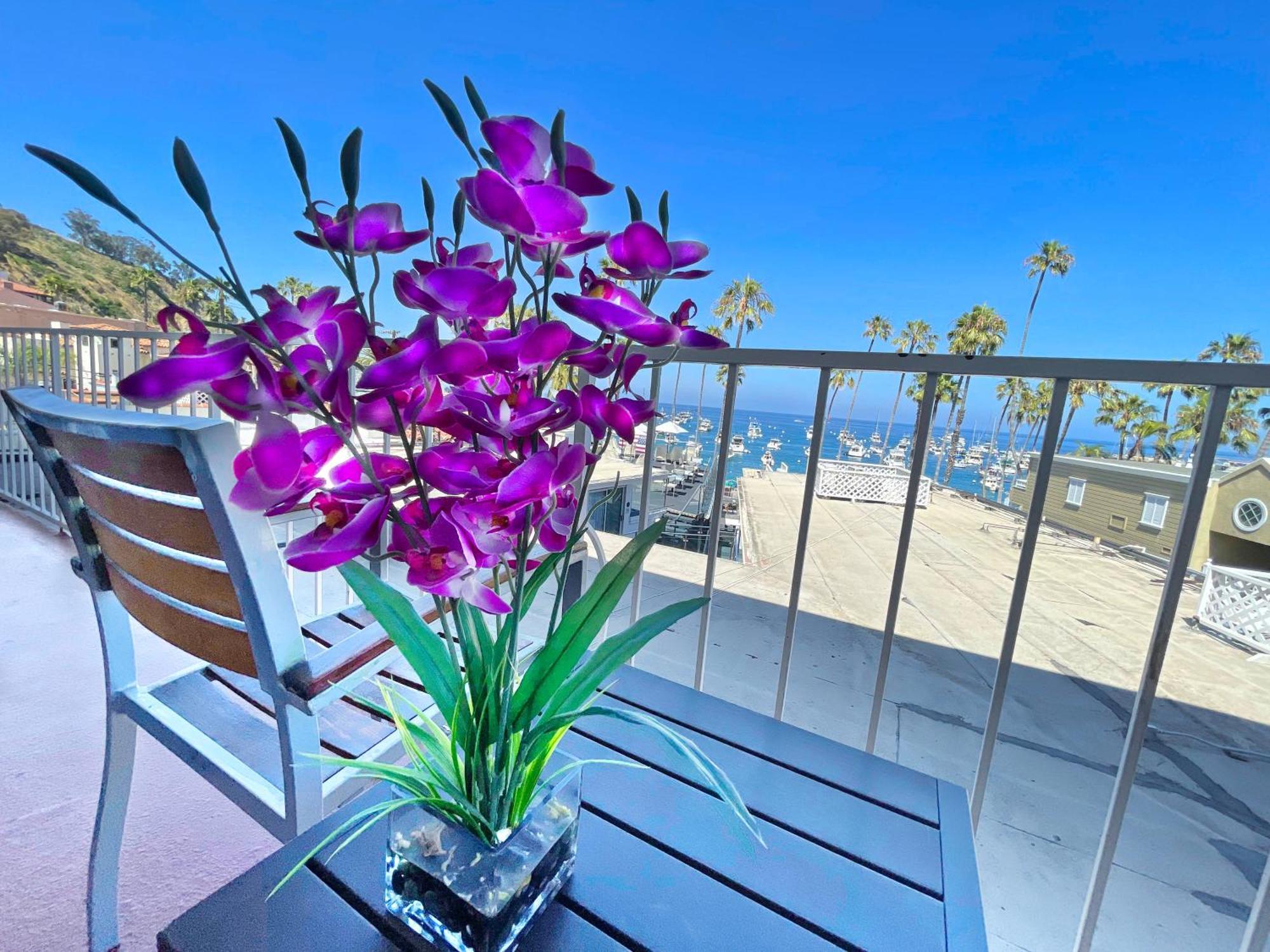 Catalina Courtyard Suites Avalon Extérieur photo